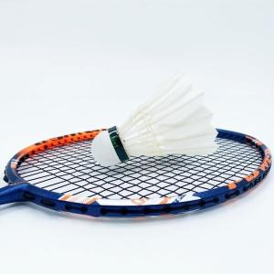 Badminton Racket Carbon Fiber Factory Price Badminton Racket for Professional