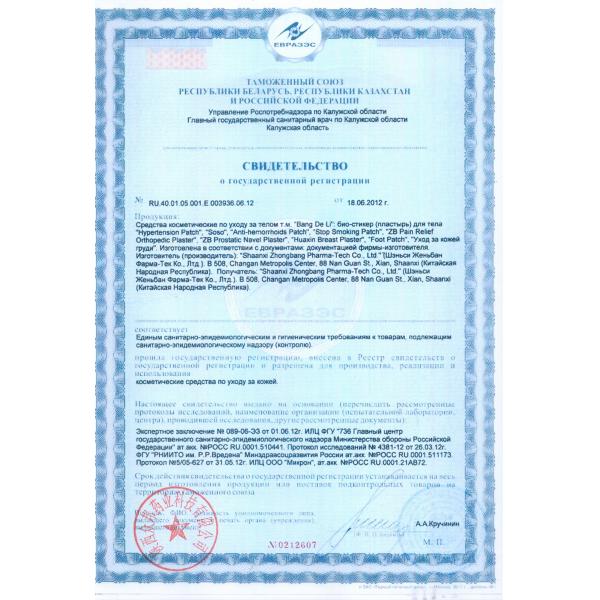 ZB pain relief orthopedic plaster joint shoulder bone back waist pain relief patch