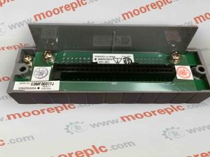 China Yokogawa Plc DCS AAI543-H00 S1 Current / Voltage Input Modules Non - Isolated on sale
