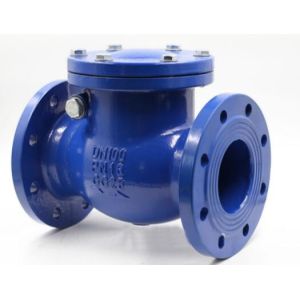 Ball Check Valve 12 Inch Vertical With Epoxy Powder Coating DN15 - DN300
