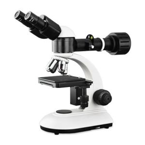 Economic Optical Light Microscope , Monocular Compound Light Microscopy