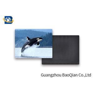 Customized Animal Personalized Fridge Magnets 3D Pictures PET Lenticular
