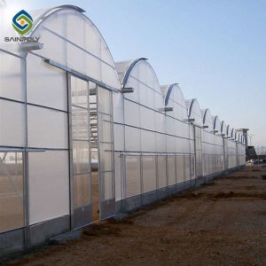 12m Polycarbonate Greenhouse Hydroponic Growing Systems