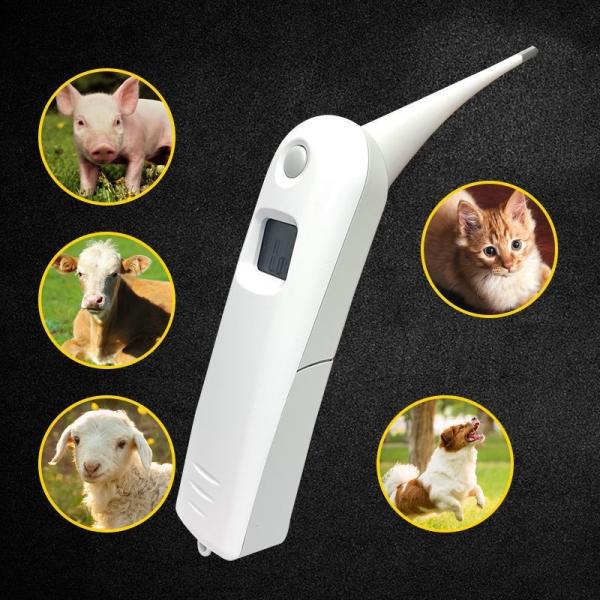 One Button Operation Wireless Pet Temperature Monitor Portable Wireless Charging