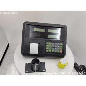 China Yaohua A23P Electronic Weighing Weight Plastic Platform Floor Scale Indicator on sale