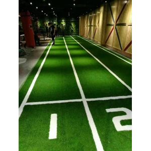 Wholesale Custom Gym Artificial Turf Environmentally Friendly Artificial Grass from china suppliers