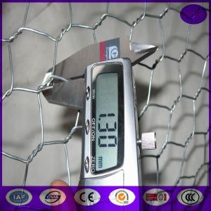 Galvanized Chicken Wire mesh roll for animals housing