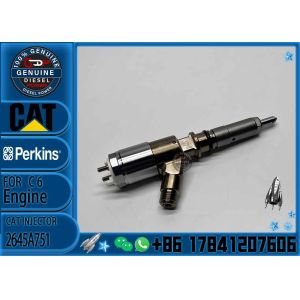 China For excavator injector assy 292-3780 306-9380 306-9390 310-9067 2645A751  2645A753 2645A746 2645A749 2645A747 on sale