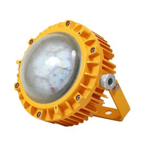 Industry 48W 5760Lm Portable Explosion Proof Lighting Crack Resistance