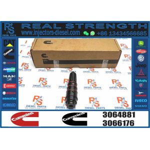 Wd09 Fuel Injector Assembly M11 PT 3064881 3071497 Fuel Injector