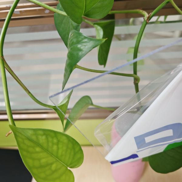 Hot Selling Modern 1mm 2mm 3mm 4mm 5mm 6mm 8mm 10mm Transparent Solid Polycarbon