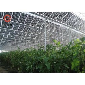 Wholesale Industrial Monocrystalline Double Glass PV Modules 305W 60 Cells Transparent from china suppliers