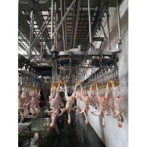Wholesale Durable Chicken Slaughtering Line Automatic Slaughtering Machine TUV Approved from china suppliers
