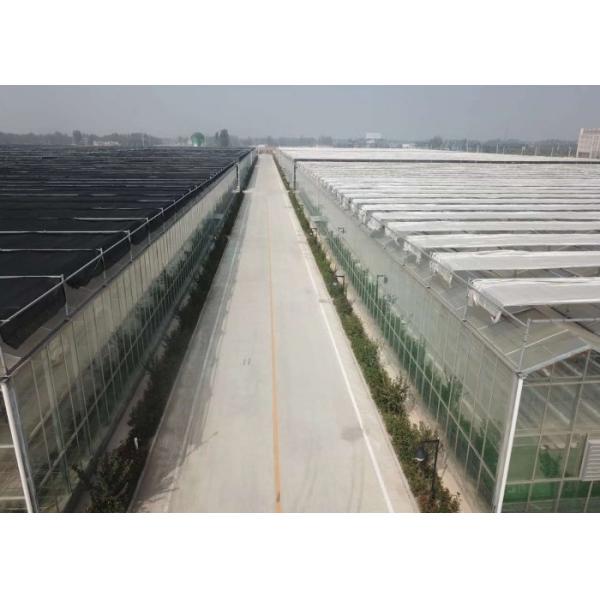 12m Span Gutter Connected Venlo Tempered Glass Greenhouse For Flowers 12x10 12x12 12x14