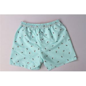 Contrast Color Waistband Hawaiian Print Swim Trunks With Mesh Brief