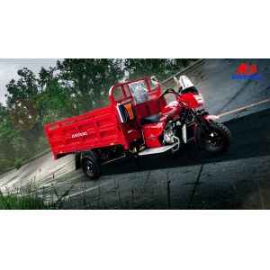 DAYANG 200CC Lifan CCC Origin Red Heavy Loading Truck Tricycle with Super Cold