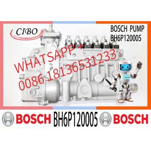 China Diesel Common Rail Fuel Pump 6P730 006P730P 5266036 BH6P120005 BHF6P120005 For 6BTAA5.9-C205 on sale