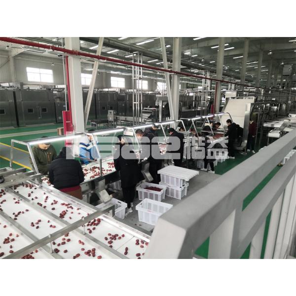 Hot Dehydrator Food Drying Machine To Make Dried Fruit Conveyor Belt Dryer Fish