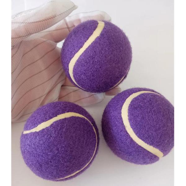 Squeaky Tennis Balls for Large or Small Dogs and Puppies - Dog Training Toys for Positive Reinforcement