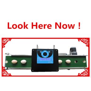Micro Characters / Dot Matrix Egg Stamping Machine Single Row No Need To Clean