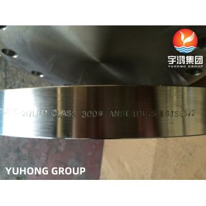 ASTM A182 F317, F317L Stainless Steel Blind Raised Face Flange ANSI B16.5