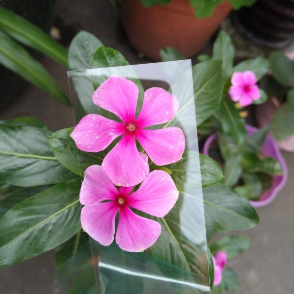 Quality Clear 1mm Polycarbonate Fabrication Pc Board For Optical Or Printing Single Layer 1mm for sale