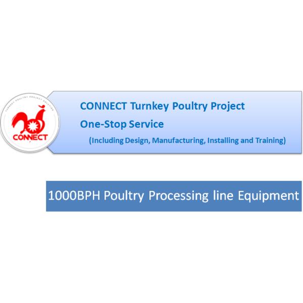 1000BPH Semi Automatic complete chicken quail goose duck Poultry Processing line Equipment for sale