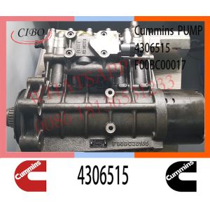 4306515 QSK60 Engine Injection Pump 2881172 2888798 3972815 5264246