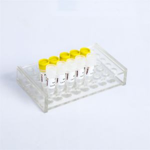 Power Green qPCR Mix for DNA real time PCR
