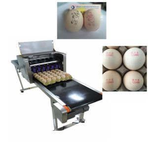 Wholesale High Tech Carton Coding Machine Eggs Number Inkjet Printer With Solvent For Egg Supplier from china suppliers