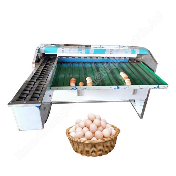 Quality Chicken Farm Classifier Chicken Farm Grading Machine Chicken Egg Sorting Machine Egg Weight Sorting Machine for sale