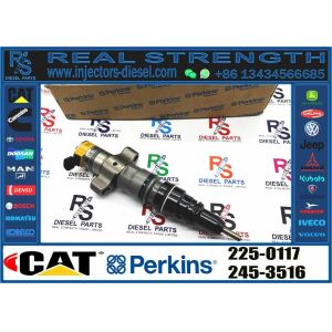 C9 Engine 387-9438 BDHCD 225-0117 Cat Excavator Parts 240-8063 Common Rail Fuel