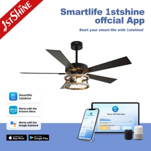 CB SAA ETL 5 Blades Classic Ceiling Fan With Light For Living Room