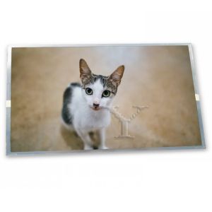 Wholesale 4.8-Inch WLED LCD Display Module SP12N001-T 256*64 Resolution Specific Application Suitable LCD Modules from china suppliers