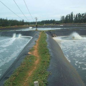 Industrial Design Style 30mil 45mil 60mil HDPE Geomembrane and Welding Machine