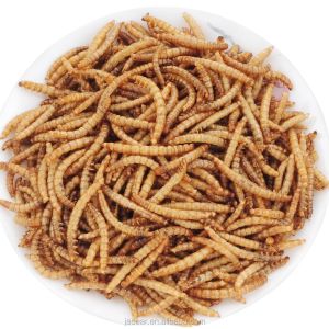 Wholesale Mealworm-based Worm Meal - High in Protein 57% and Low in Fat 25% from china suppliers