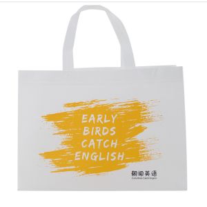 Spunbond Non Woven Bag Environmental Regeneration Foldable Customizable with