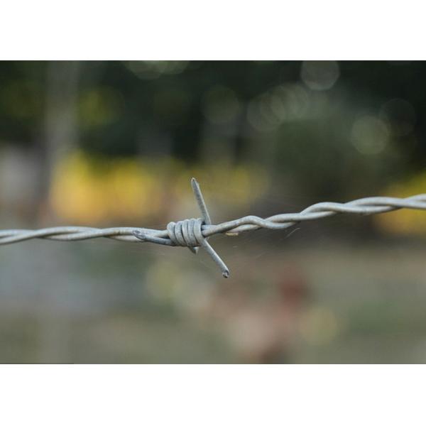 Use Of Prison Walls Length 200m Stainless Steel Barbed Wire Price Per Roll
