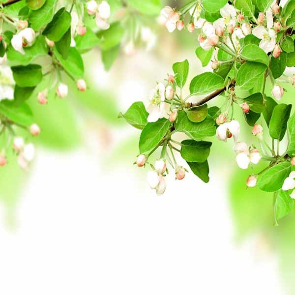 38mm motorized printed roller blind / Motorized roller blinds for window / 3D