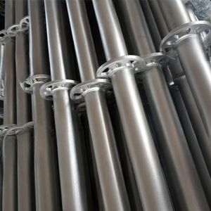 HDG Q355 2m EN12811 Certified 2.5M Ring Lock Standard Vertical Rosette With