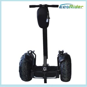 Wholesale Chariot Electric Scooter 2000W Self Balancing Vehicle Free Standing from china suppliers