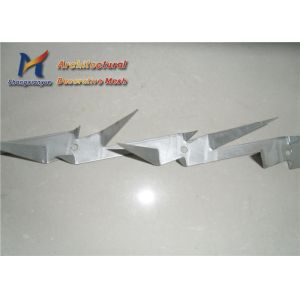 Metal Spike Galvanized Security Premeter Fence Top Metal Wire Mesh Fence