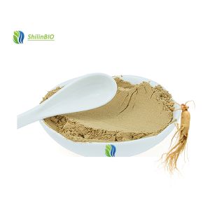 Factory Wholesale High Quality Ginseng Extract Powder 5%-80% Ginsenosides