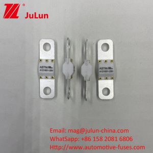 A121601-100A 3KA 6KA 8KA Breaking Electric Vehicle Charging Automotive Fuse