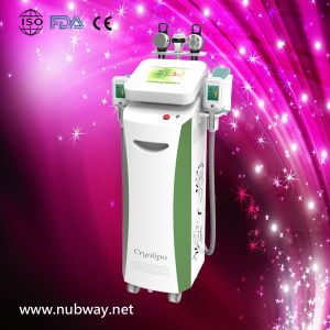 Wholesale Vertical amazing result 2013 latest cryolipolysis machine to losing weight from china suppliers