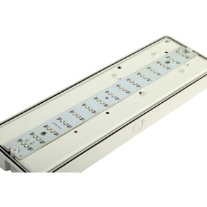 Automatic Wall Surface Mounted emergency lighting fire exit signs for Buildings