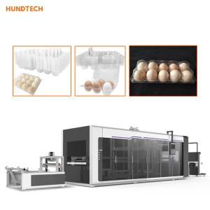 Trifold Shape Egg Box Making Machine Plastic Thermoforming Equipment