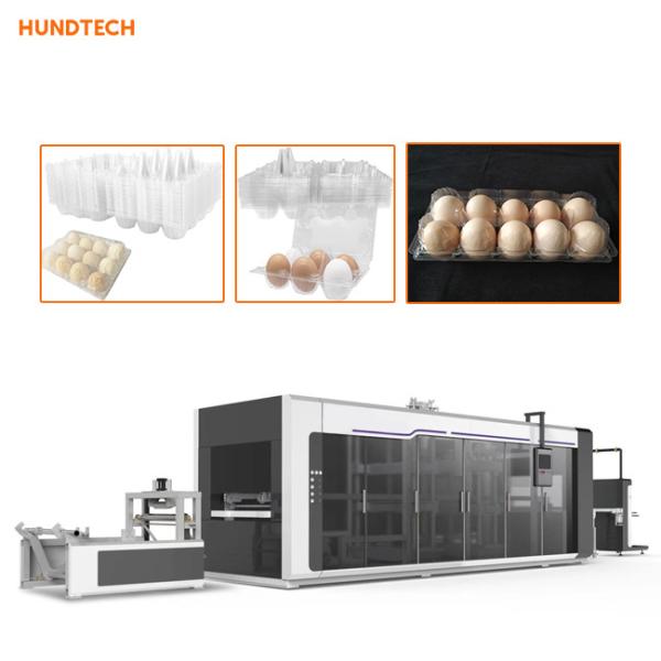 Trifold Shape Egg Box Making Machine Plastic Thermoforming Equipment