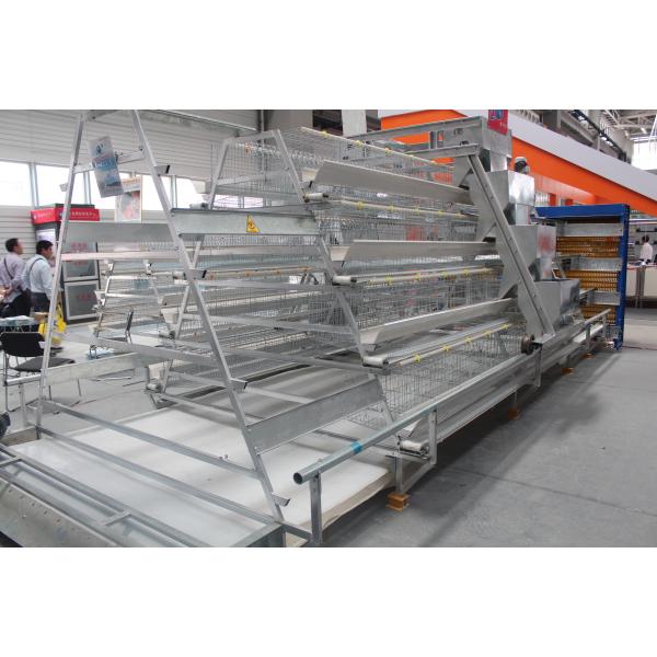 Quality Eggs Layer Chicken Cage Cold And Hot Galvanized Feeding System for sale