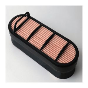 Video Outgoing-Inspection Air Filter Element P606121 with 3 Month of Core